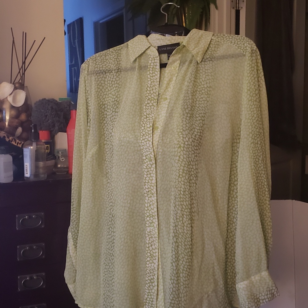 Sheer green/white button-down blouse